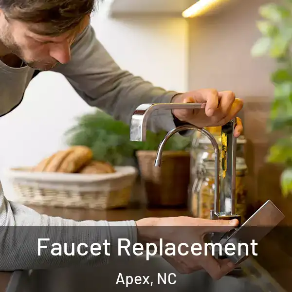  Faucet Replacement Apex, NC