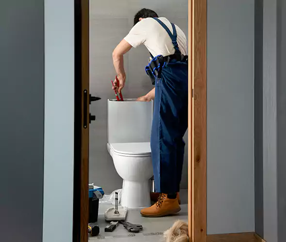 Professional Plumbers for Toilet Bowl Replacement in Apex, NC: Schedule Affordable Toilet Replacement Services With Us