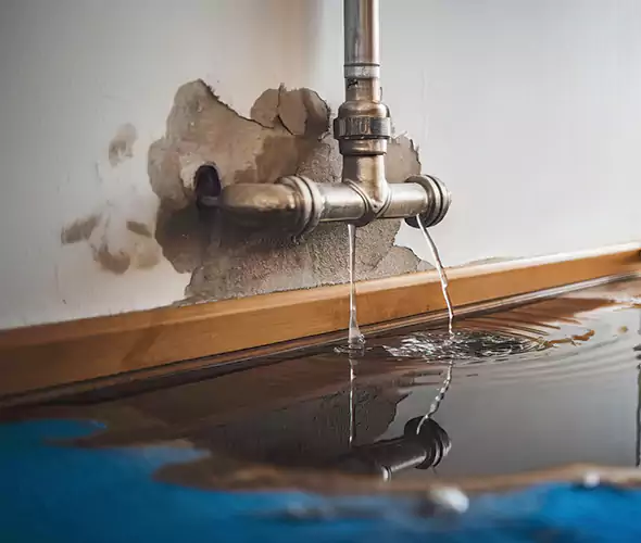 Professional Water Damage Restoration Experts in Apex, NC — Fast, Reliable & Certified