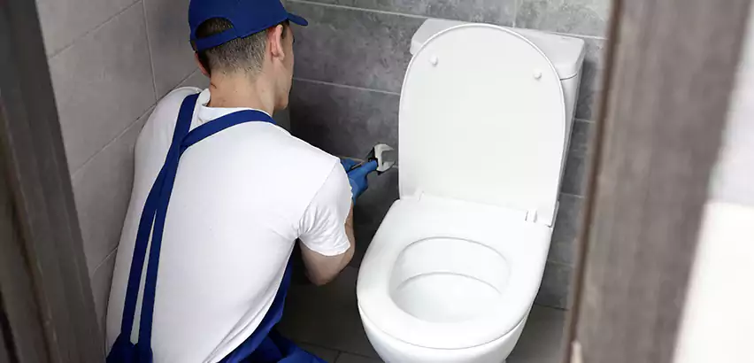 Toilet Lid Replacement in Apex
