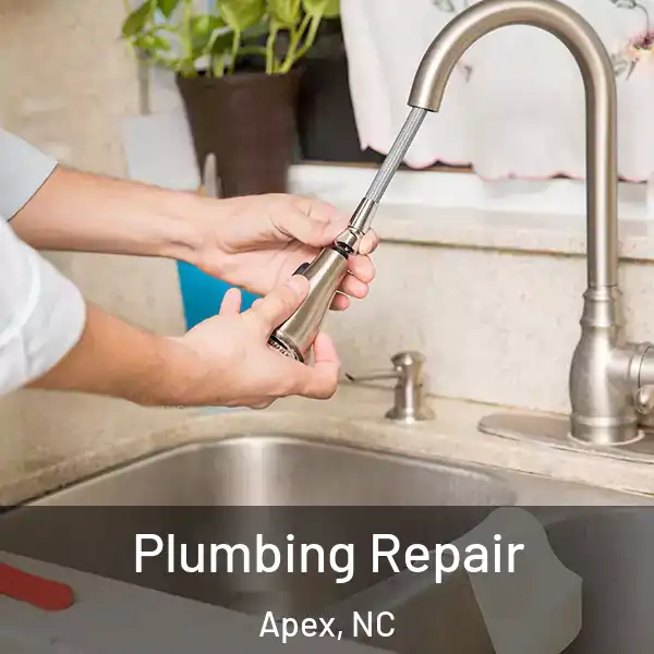  Plumbing Repair Apex, NC