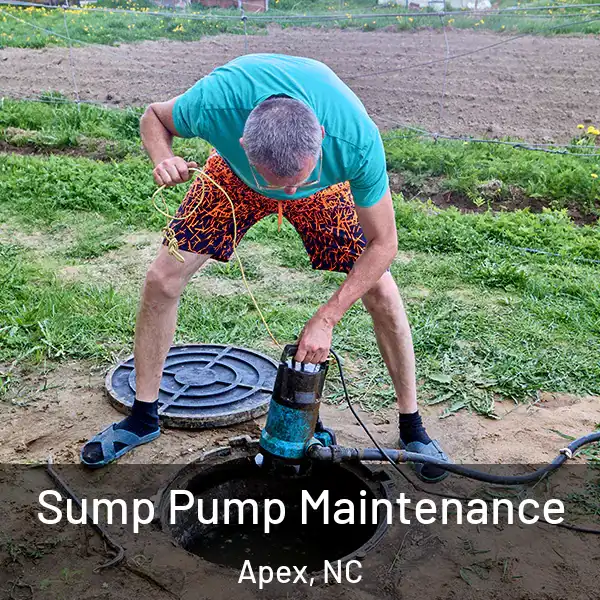  Sump Pump Maintenance Apex, NC