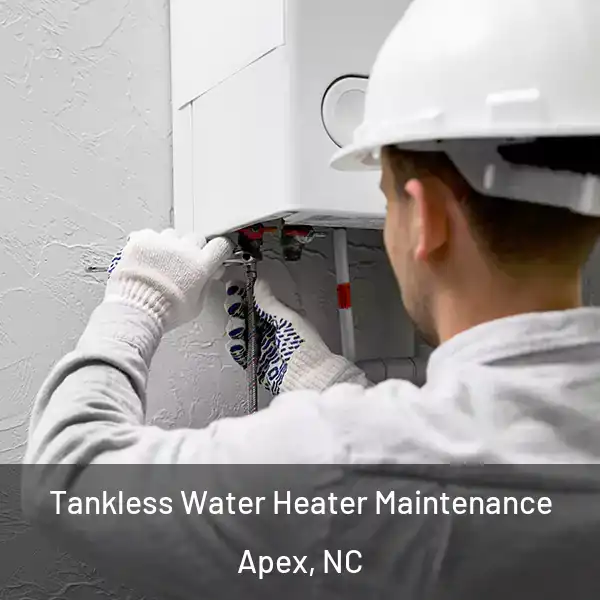  Tankless Water Heater Maintenance Apex, NC