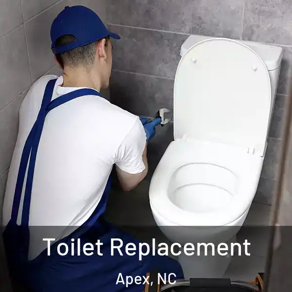  Toilet Replacement Apex, NC