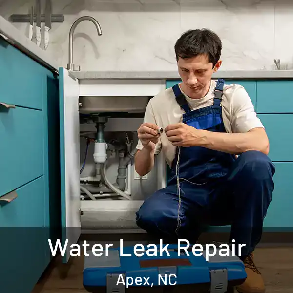  Water Leak Repair Apex, NC